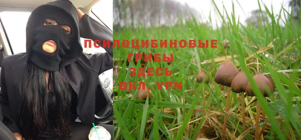 mdma Нязепетровск