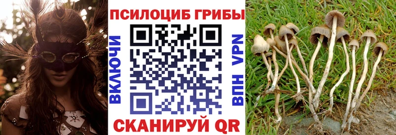 где купить наркоту Симферополь Галлюциногенные грибы мицелий